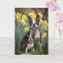 Search for boston terrier mothers day cards For her