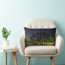Search for northern lights cushions Night
