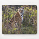 Search for bengal mouse mats India