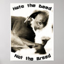 Search for pitbuls posters For pets