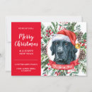 Search for black lab christmas cards Retriever