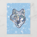 Search for wolf face postcards Winter