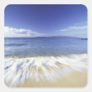Search for hawaii surfing stickers Beach