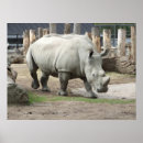 Search for endangered posters White