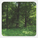 Search for spring green leaves stickers Springtime