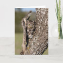 Search for larry cards Bird
