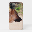 Search for alsatian iphone cases Dog
