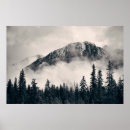 Search for mountain forest posters White