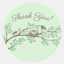 Search for robin bird stickers Nature