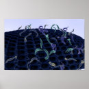 Search for magnifying posters Illustration