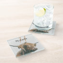 Search for highland cow coasters Scotland