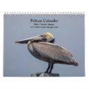 Search for water calendars Animal