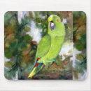 Search for amazon standard mouse mats Parrot