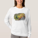 Search for provo clothing Colour