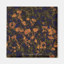 Search for composite image magnets Brown