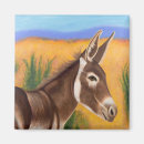 Search for burro magnets Cute