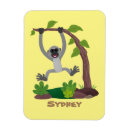 Search for monkey rectangular magnets Ape