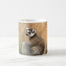 Search for lemur gifts Monkeys
