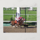 Search for winner postcards Jockey