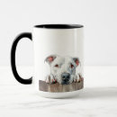 Search for dogo mugs Cute