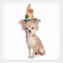 Search for chihuahua dog stickers Animals