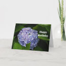 Search for hydrangeas birthday cards Purple