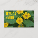 Search for shasta photography Daisies
