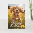 Search for cocker spaniel birthday cards Dogs