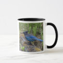 Search for stellar mugs Animal