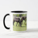 Search for grazing mugs Outdoors