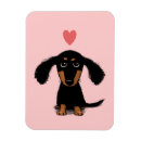 Search for magnets Cute