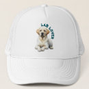 Search for labradors hats Animal