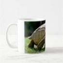 Search for tortoise shell mugs Reptile
