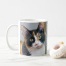 Search for pretty kitty mugs Cats
