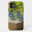 Search for swallow bird iphone cases Swallows