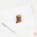 Search for smiling dog stickers Pet