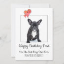 Search for cat pet cards From the dog