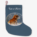 Search for horse christmas stockings Funny
