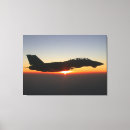 Search for f 14 tomcat posters Air force