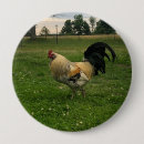 Search for barnyard badges Chicken