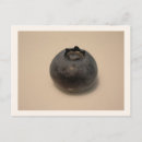 Search for blueberry postcards Organic