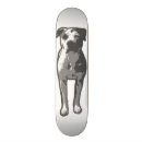 Search for bulls skateboards Pitbull
