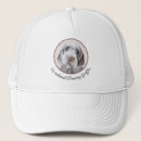 Search for points hats Dog