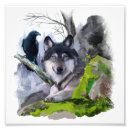 Search for malamute dog posters White