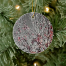 Search for macro christmas tree decorations Nature