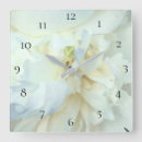 Search for blue and white clocks Nature