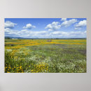 Search for springtime posters Blue