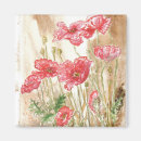 Search for poppies magnets Plants