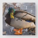 Search for waterfowl art Photography