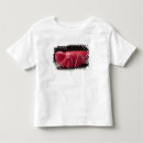 Search for 1500s tshirts 16th